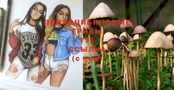 круглые Армянск