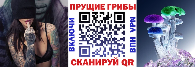 Галлюциногенные грибы MAGIC MUSHROOMS  наркота  Сибай 